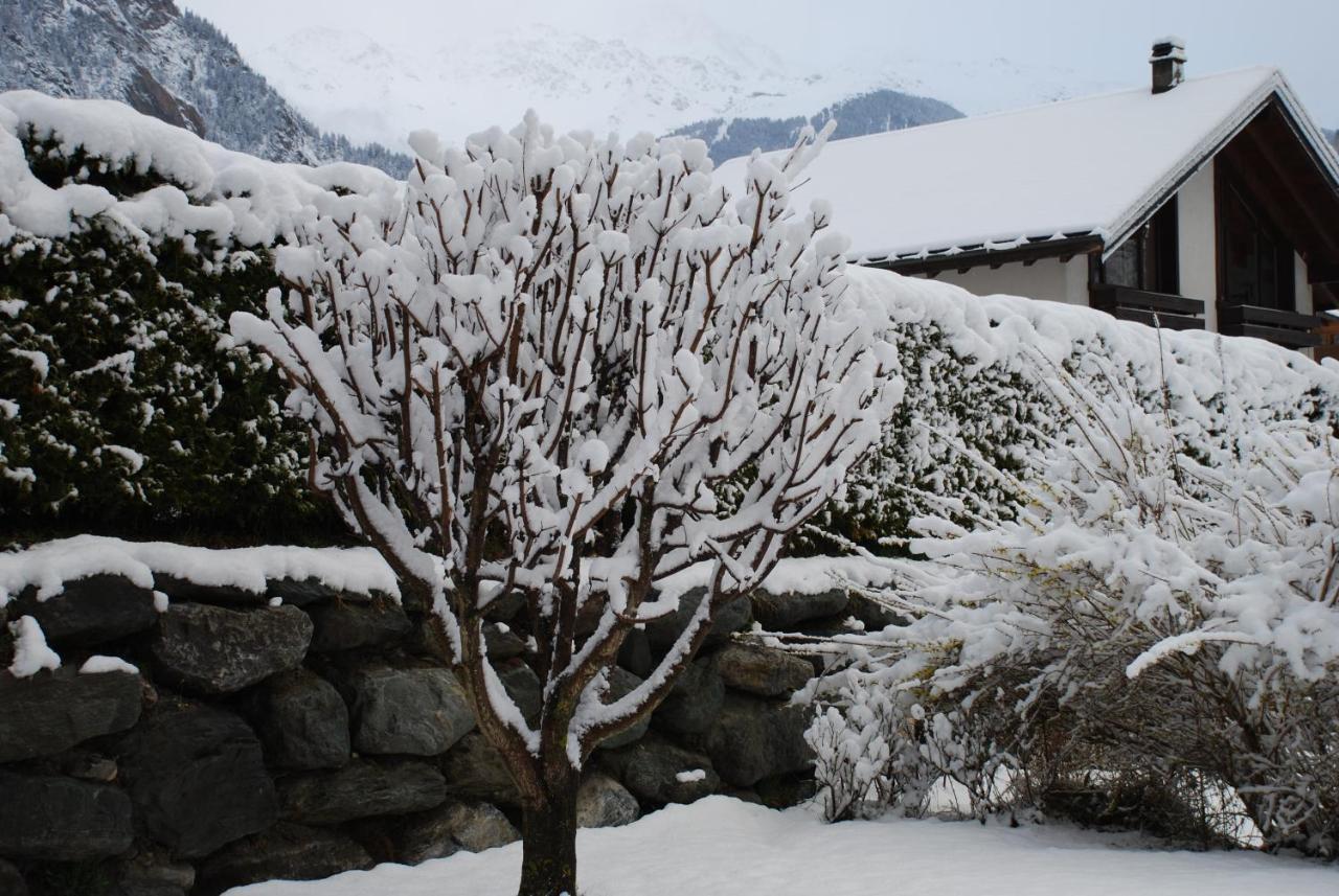 Chalet Edelweiss - Verbier, Mountain Views, Jacuzzi! Volleges 外观 照片